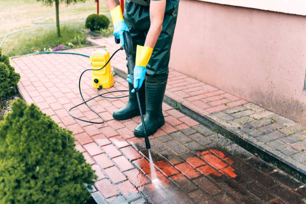 Best Roof Pressure Washing  in Brownsville, KY