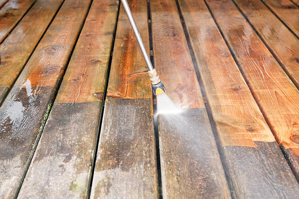Best Roof Power Washing Services  in Brownsville, KY