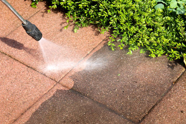 Best Pressure Washing Company Near Me  in Brownsville, KY