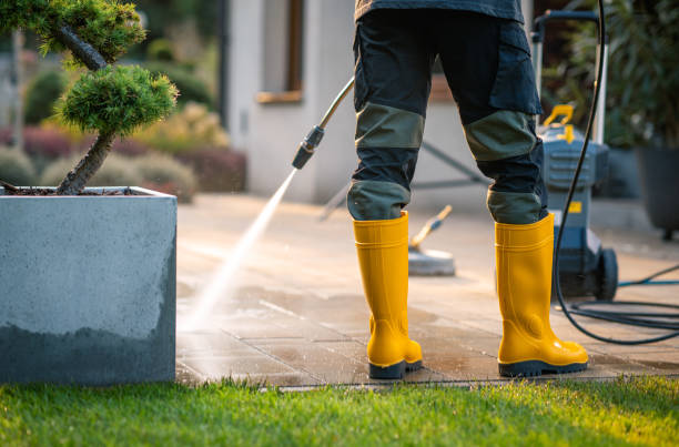 Best House Pressure Washing  in Brownsville, KY